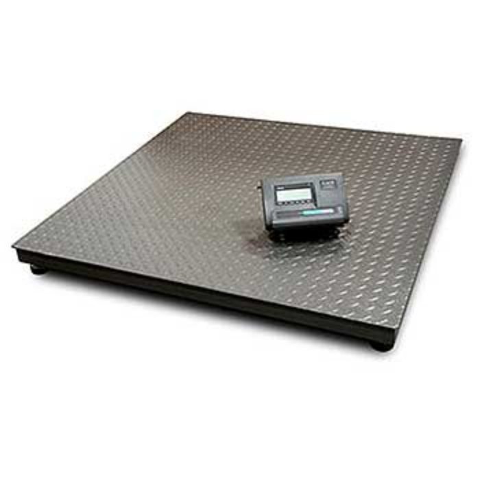Industrial Platform Scale